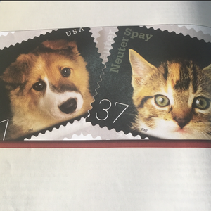 关婷娜真人裸体毛片HD AV
