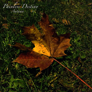 关婷娜真人裸体毛片HD AV
